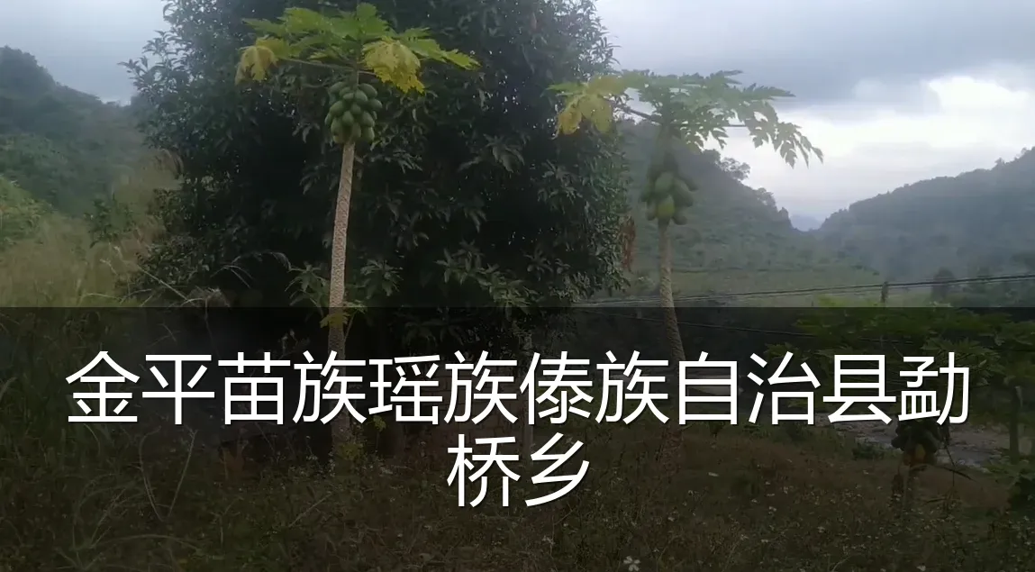 金平苗族瑶族傣族自治县勐桥乡