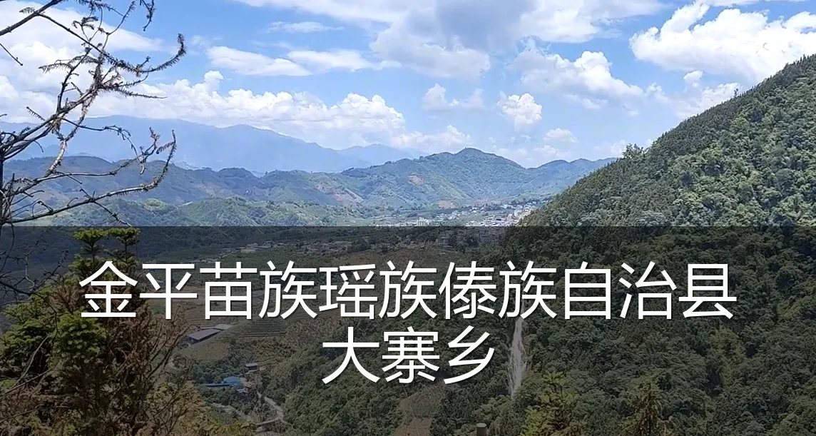 金平苗族瑶族傣族自治县大寨乡