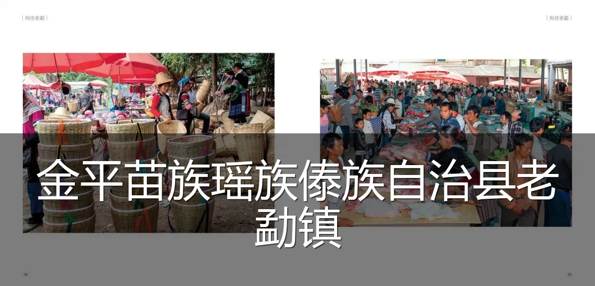 金平苗族瑶族傣族自治县老勐镇