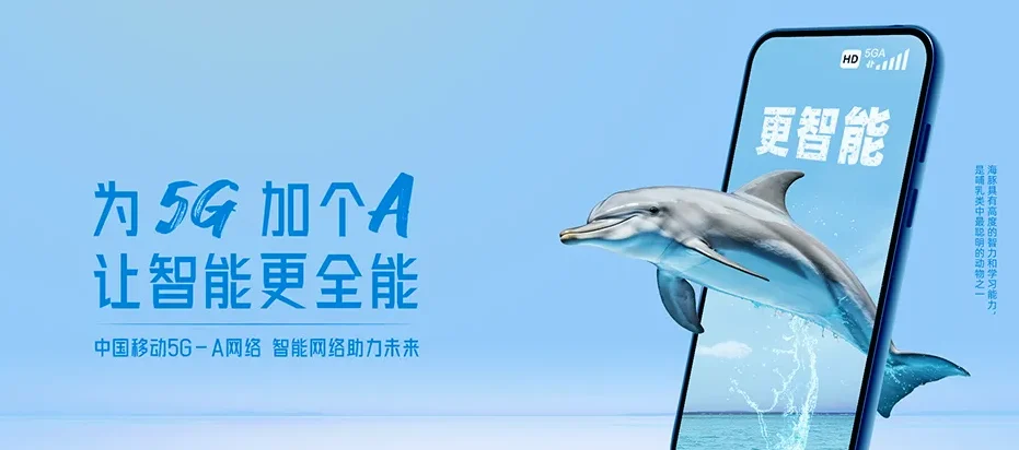 金平苗族瑶族傣族自治县金平苗族瑶族傣族自治县者米拉祜族乡 移动宽带